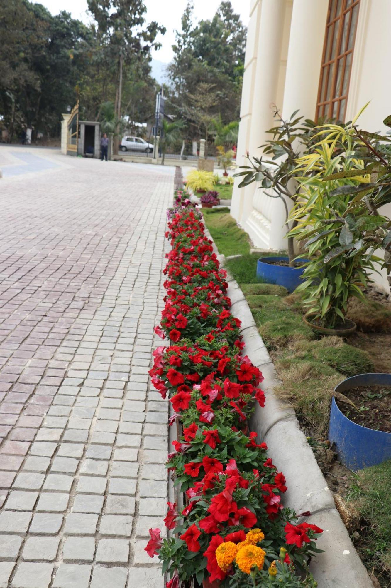 Royale De' Casa Resort กาซิรังคา ภายนอก รูปภาพ